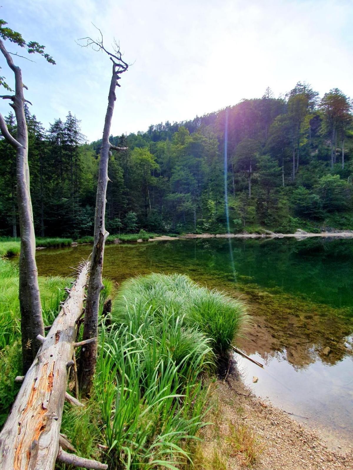 Haus Fuesslmuehle * Fuschl am See